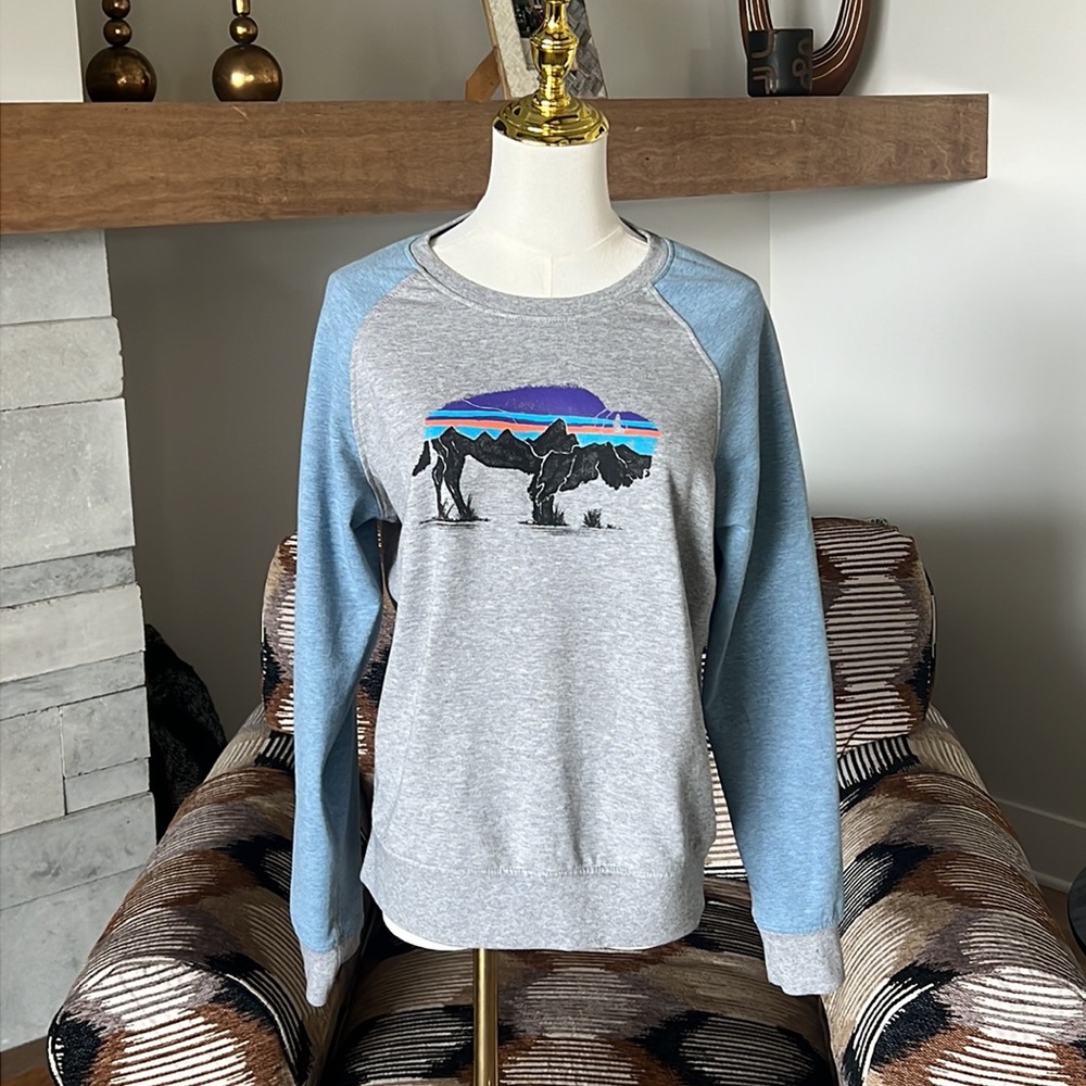 Patagonia Fitz-Roy Bison Ahnya Crew Sweatshirt